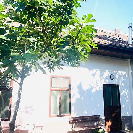 Jokai Apartman Komarno Ngoại thất bức ảnh